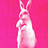 DUST BUNNY