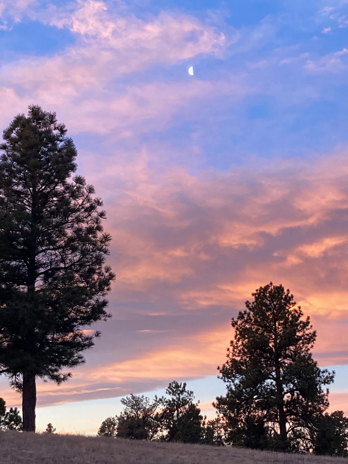 Dawn Moon, 2026-02-09