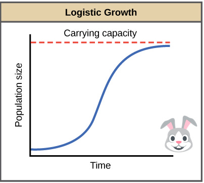Population ecology review (artykuł) | Khan Academy