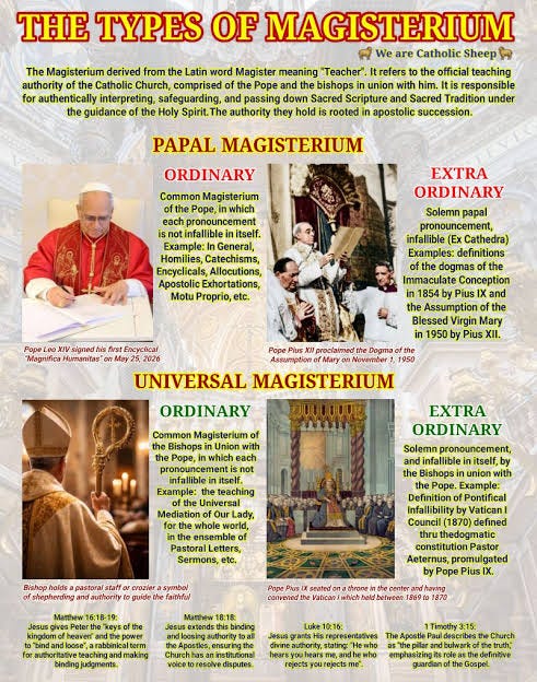 Understanding the Catholic Church's magisterium role Understanding the Catholic Church's magisterium role