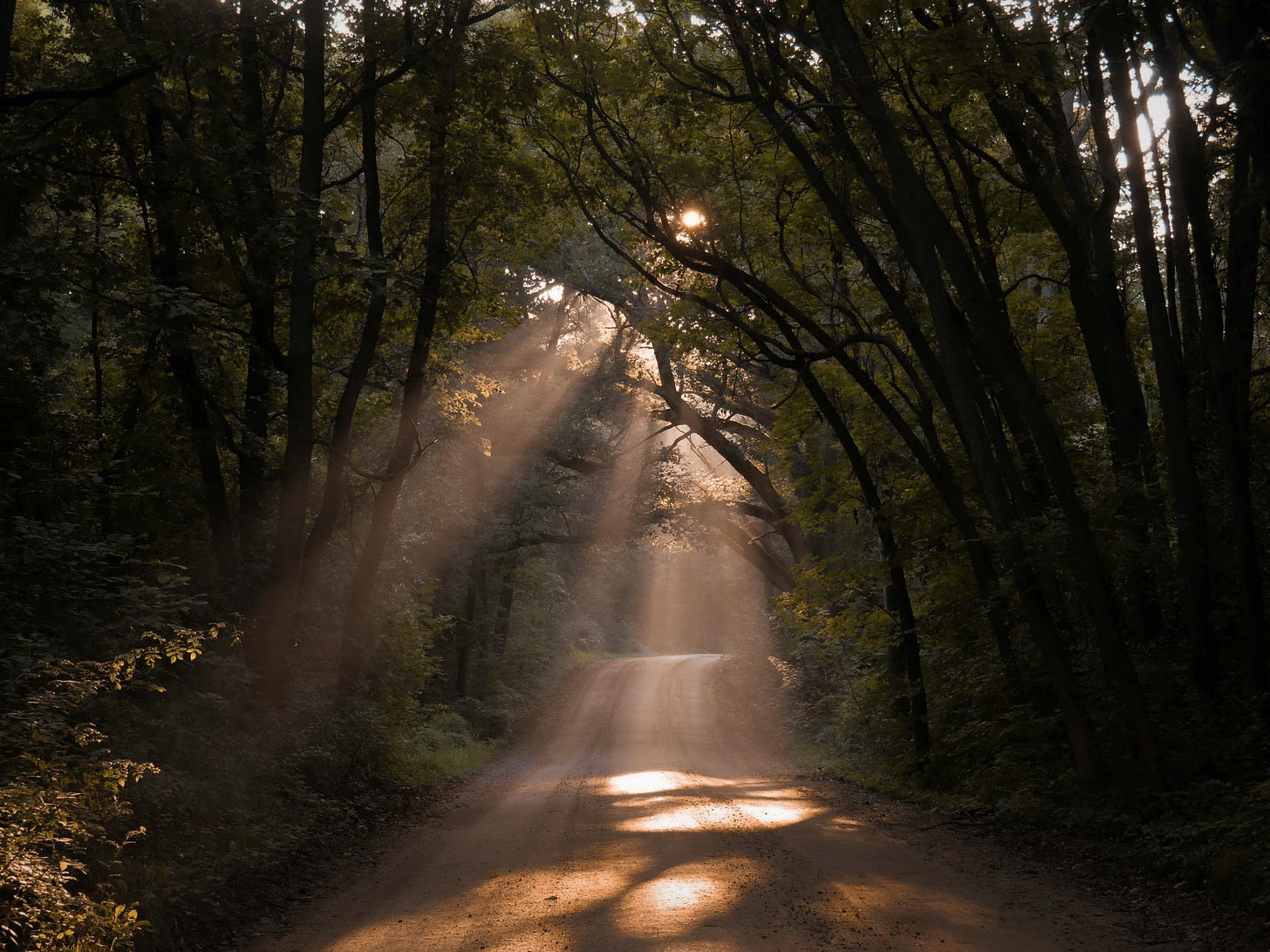 Photo by Aaron Burden: https://www.pexels.com/photo/unpaved-road-with-sunlight-through-the-trees-2890344/