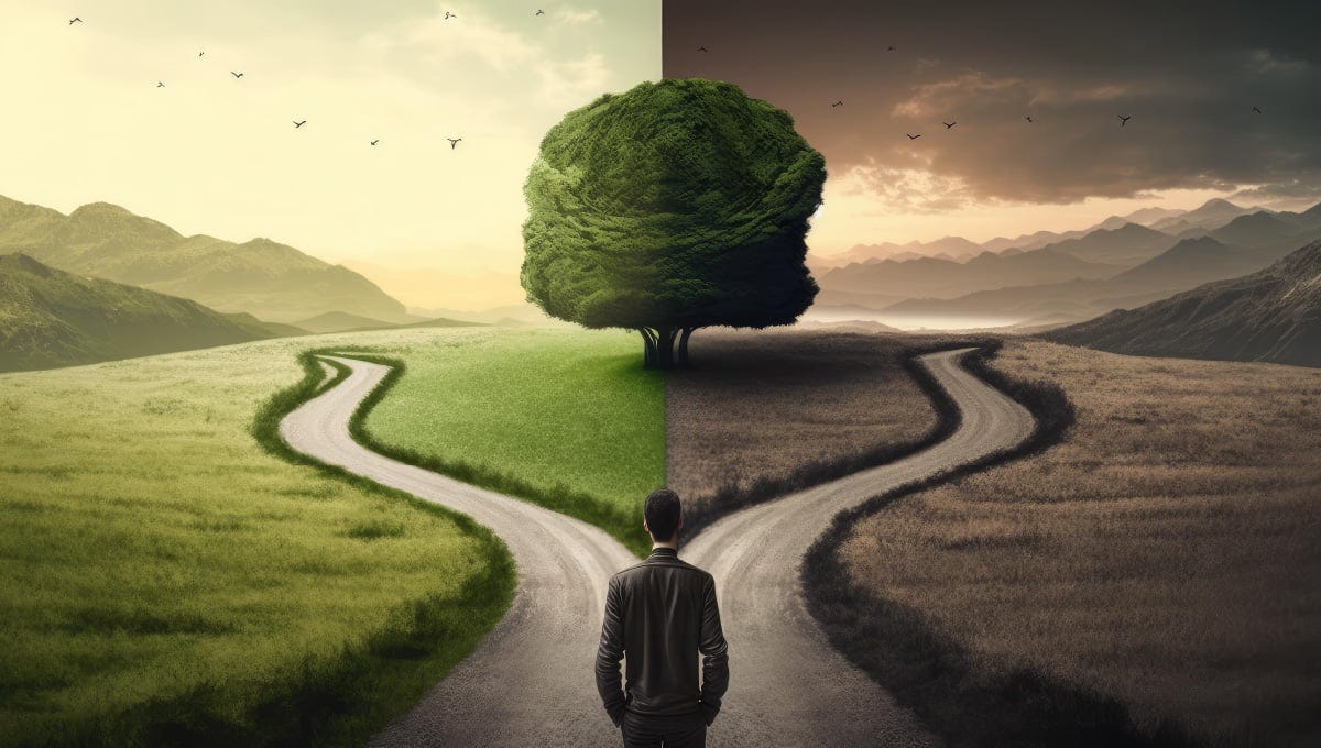 A choice between cash investments represented by a man standing at a fork in the road.