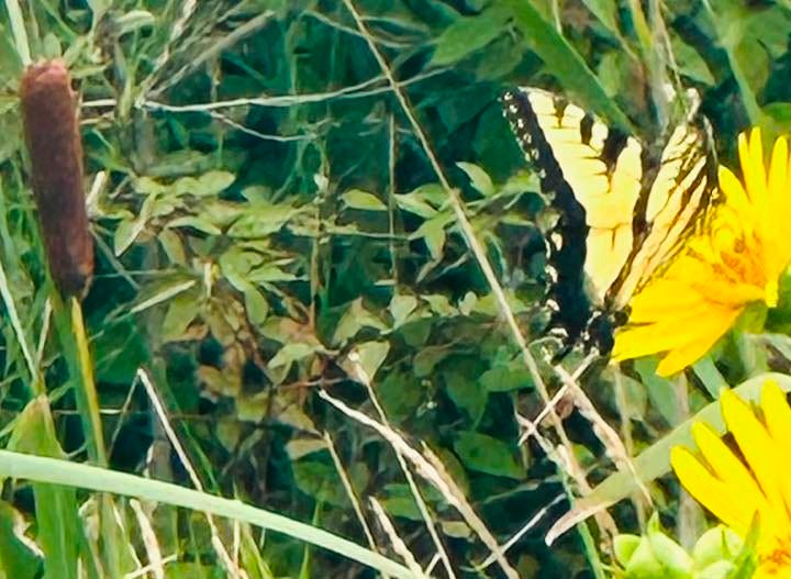 No photo description available.