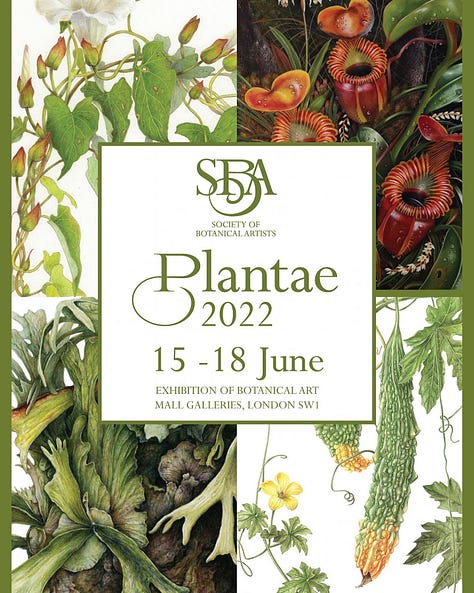 Society of Botanical Artists, Plantae 2022, Mall Galleries, London