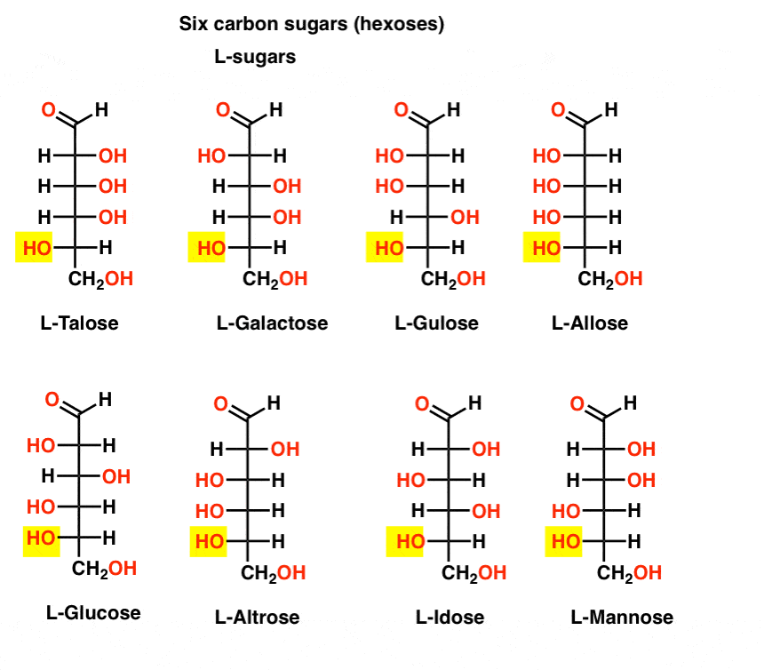 D- and L- Notation For Sugars – Master Organic Chemistry D- and L- Notation For Sugars – Master Organic Chemistry