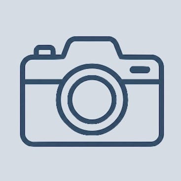 Strategy Snapshot logo