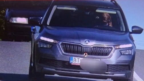 A brown dog sits behind the wheel of a car.