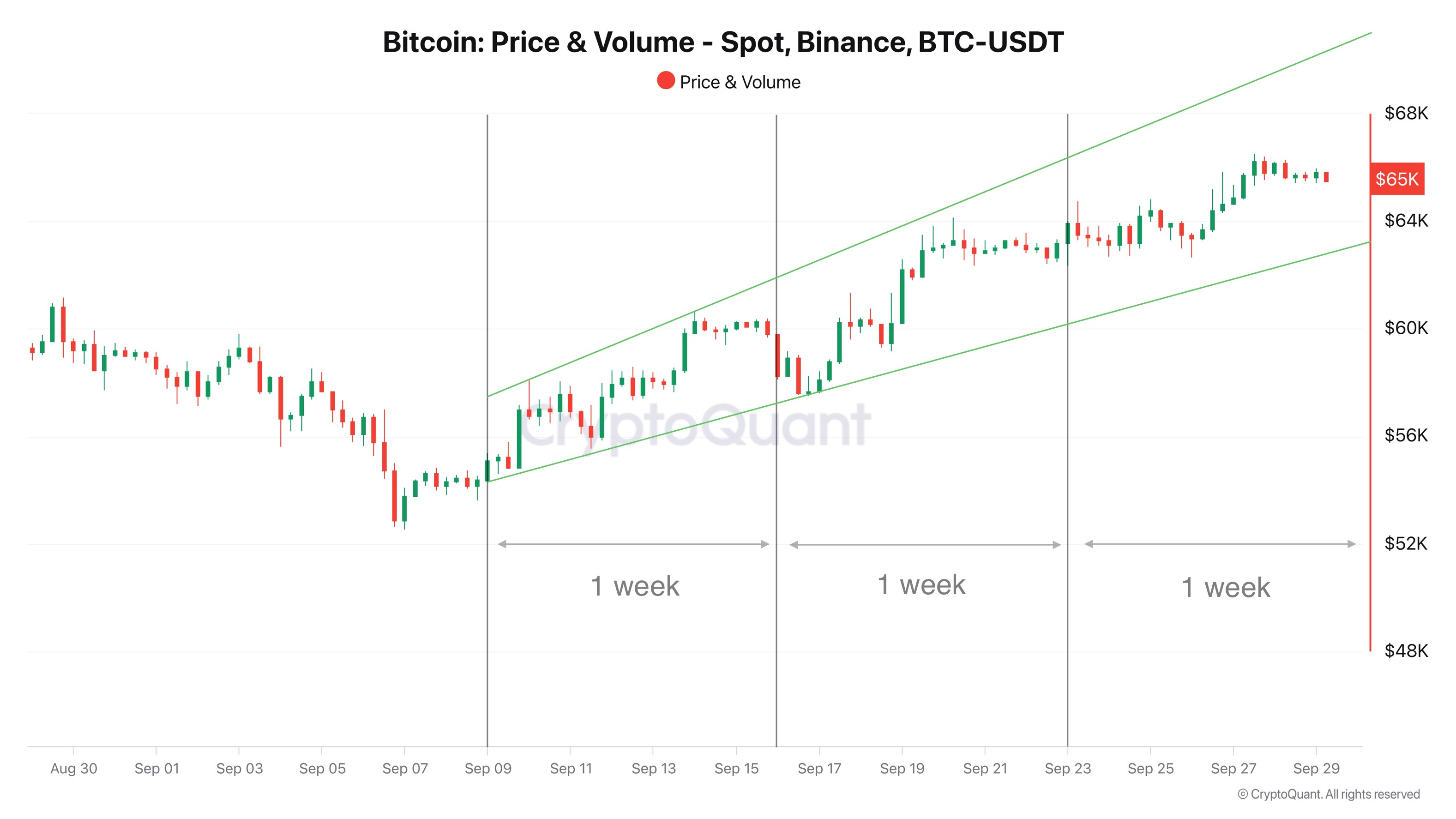 Weekly Bitcoin Market Analysis. Insight 11
