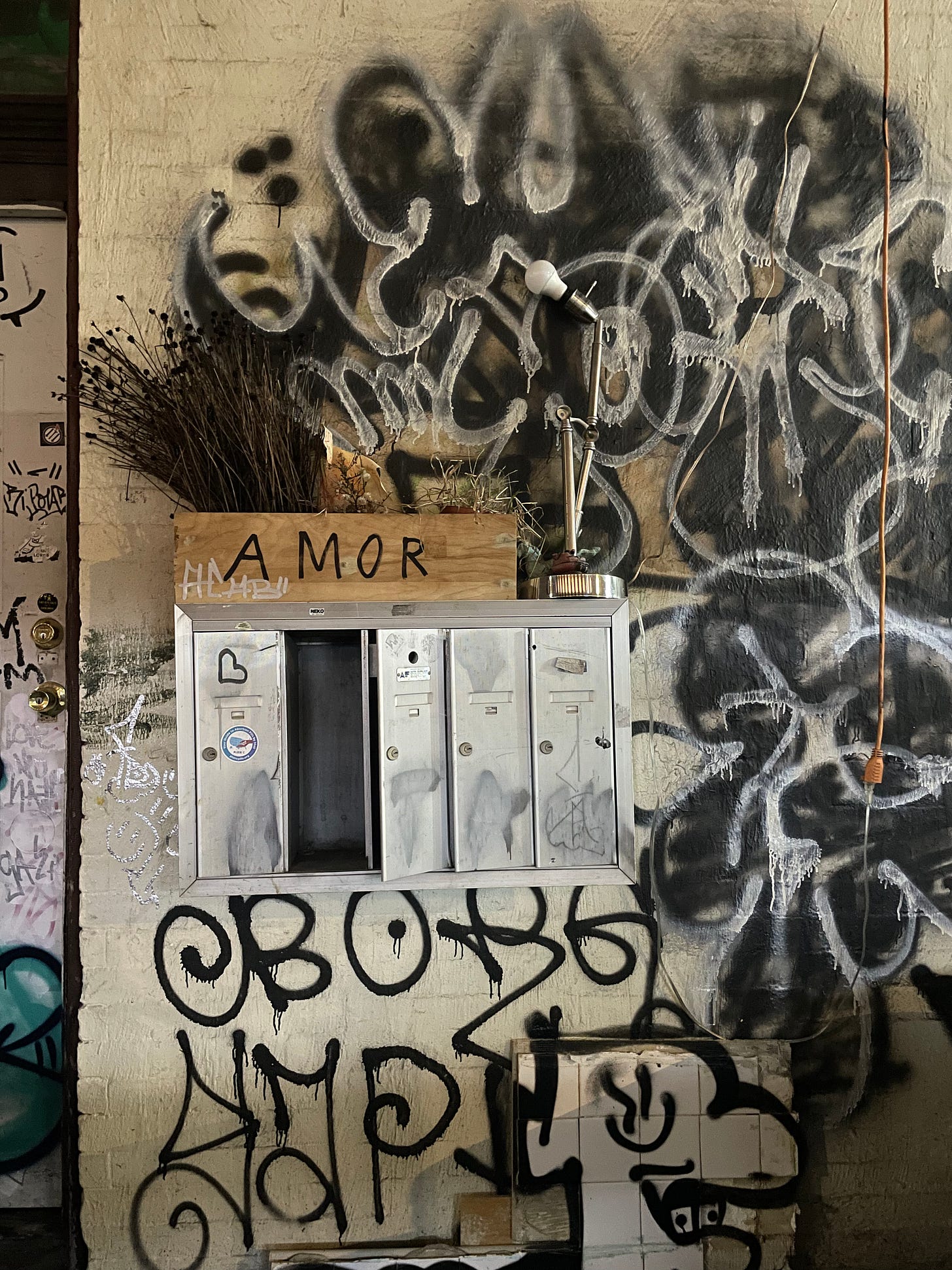 A plant pot with the word "amor" sits atop a stringe of mailboxes in Brooklyn.