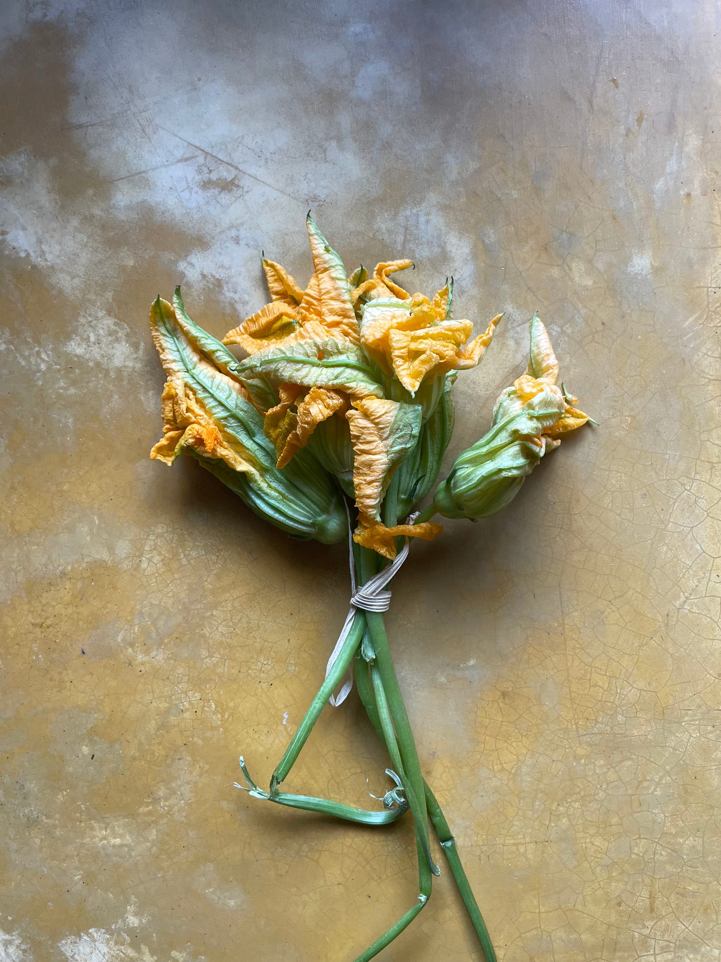 A bundle of squash blossom flowers tied together on a counter.