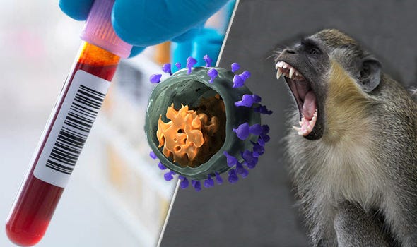 HIV-Infected Green Monkey DNA Found in COVID-19 "Vaccines": How Even Bill Gates’ ChatGPT Became Redpilled Because of Microbiologist Kevin McKernan