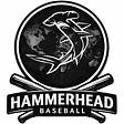 Hammerhead Baseball's avatar