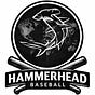 Hammerhead Baseball's avatar
