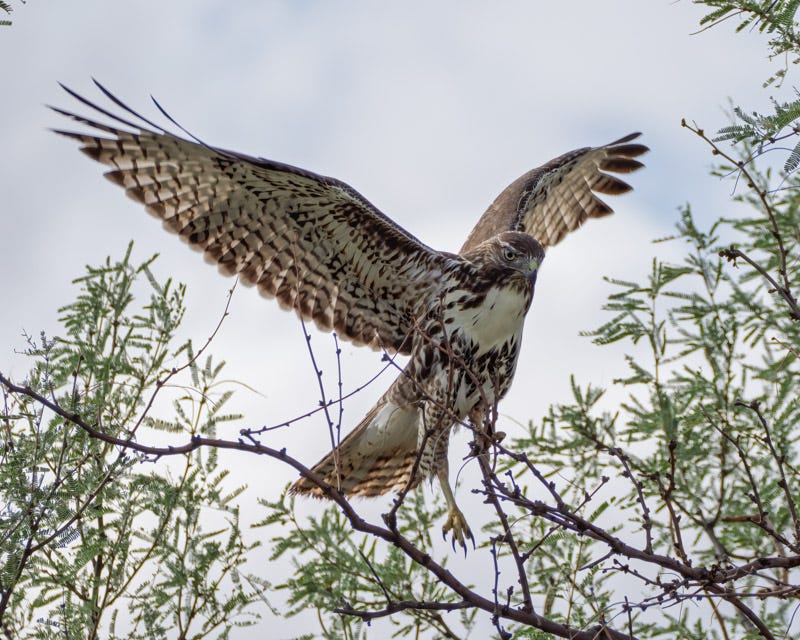 20250906-Manville-108-Edit.jpg 20250906-Manville-108-Edit.jpg