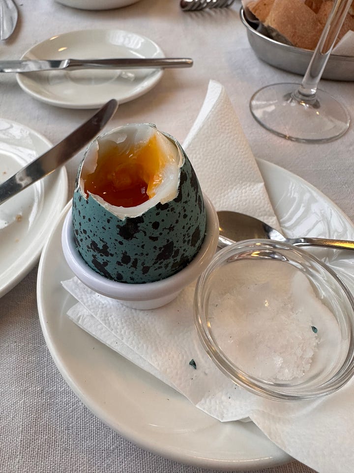 A turquoise seabird egg