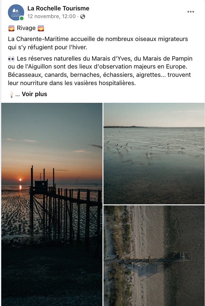 Photo du rivage, soleil couchant, observatoire d’oiseaux migrateurs