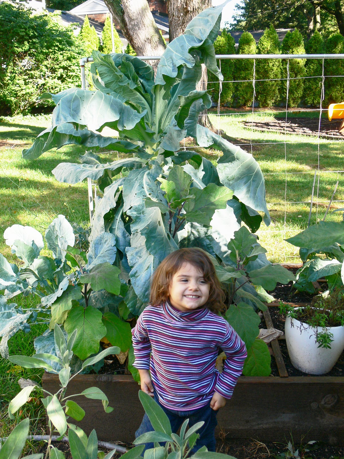 a girl in front of a veggie garden