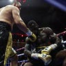 Steve’s Boxing Substack