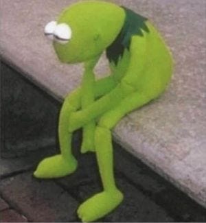 Photo of Kermit the Frog sitting and looking sad