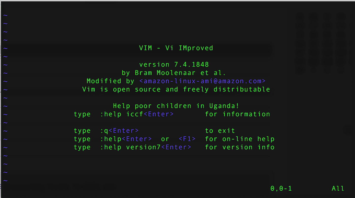 How to use Vim text editor in kali linux | by Steve Matindi | Medium