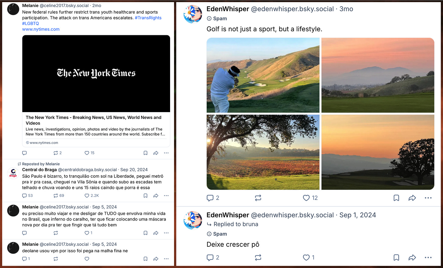 screenshots showing that @celine2017.bsky.social and @edenwhisper.bsky.social switching languages from Portuguese to English after a long period of not posting screenshots showing that @celine2017.bsky.social and @edenwhisper.bsky.social switching languages from Portuguese to English after a long period of not posting
