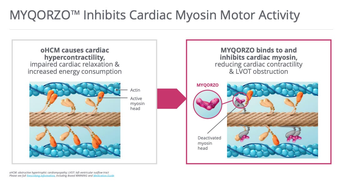 CYTK Risk-Reward Ahead of ACACIA - JNap’s Biotech Thoughts