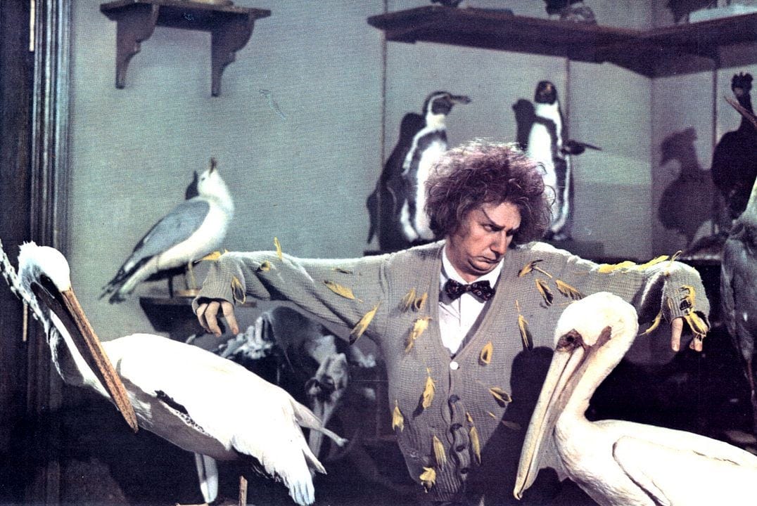 Photo du film Brewster McCloud - Photo 6 sur 8 - AlloCiné