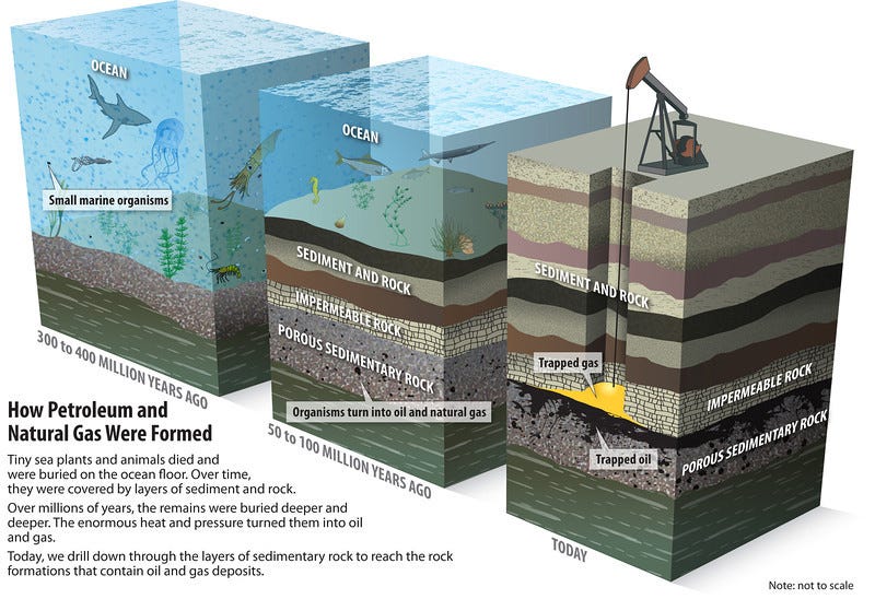 How does the formation of coal differ from that of natural gas and oil? |  Socratic