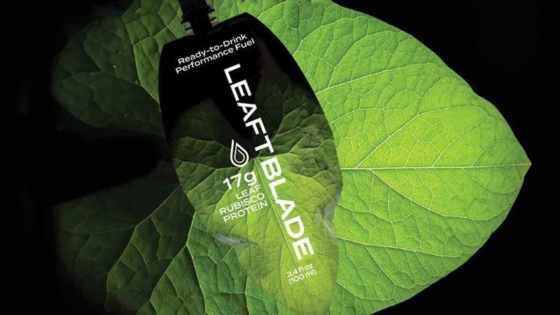 Leaft Foods Unveils Leaft Blade, Performance Nutrition from Green Leaf Protein - vegconomist - the vegan business magazine Leaft Foods Unveils Leaft Blade, Performance Nutrition from Green Leaf Protein - vegconomist - the vegan business magazine