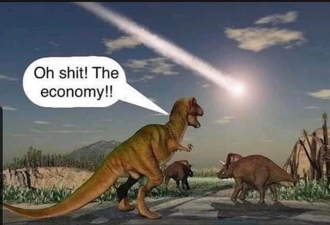 Cartoon depicting dinosaurs watching a meteor about to hit, with a speech bubble on a dinosaur exclaiming: "Oh shit! The economy!"