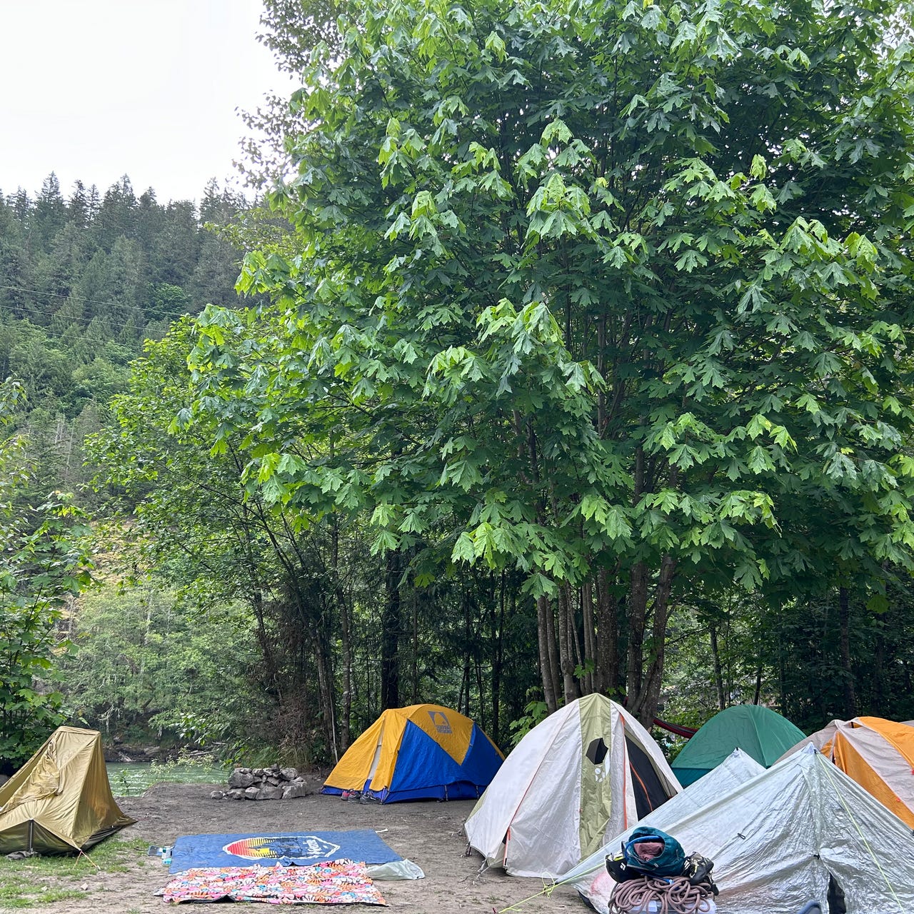 Artwork for Camp Cusp