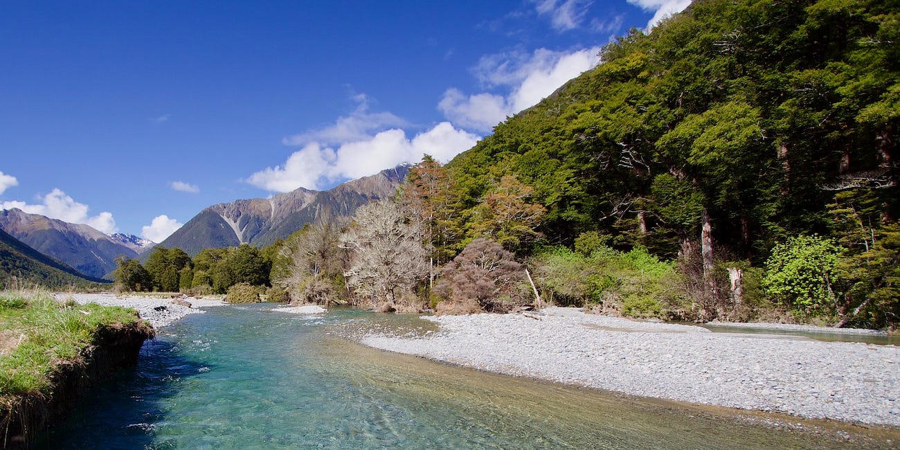 Fly Fishing New Zealand's South Island