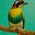 Avatar de Mohamed Ferdj