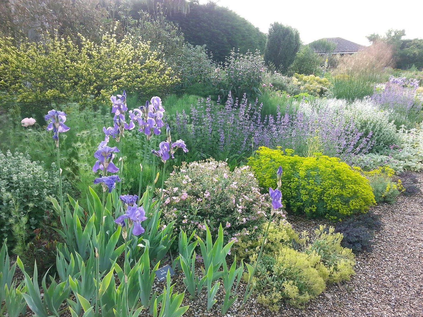 gravel garden gravel garden