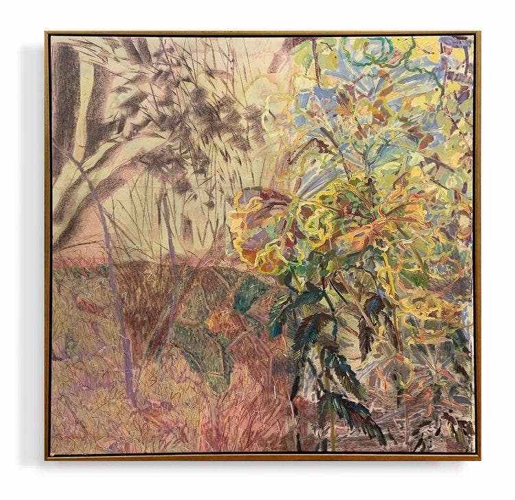 Bushwalking to Point Addis