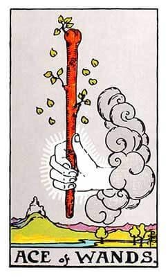 Ace Wands Ace Wands