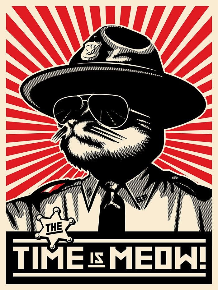 iAmMoshow - The Cat Rapper ™ on Twitter: "My cat Dj Ravioli and I quit our  day jobs today and decided to start up our full time meowdeling career  again. Retweet this