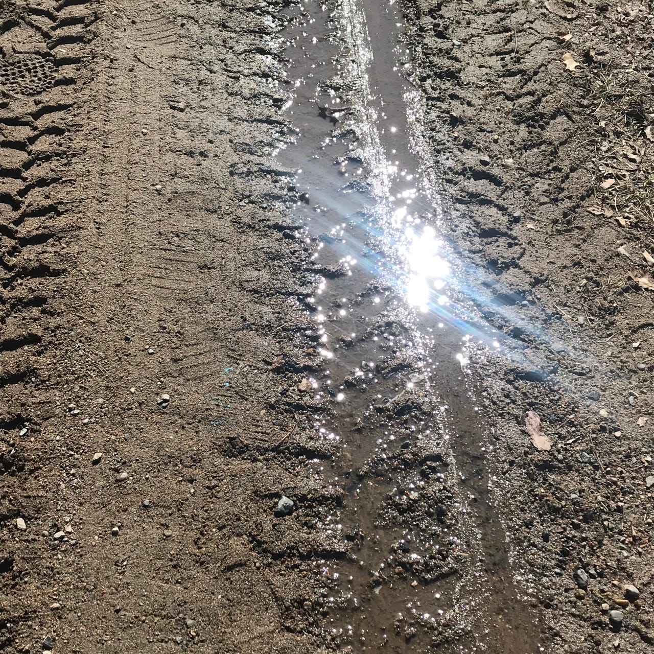 \ud835\udceb\ud835\udcfe\ud835\udcf7\ud835\udcf7\ud835\udcf2\ud835\udcec\ud835\udcfe\ud835\udcf5\ud835\udcea'\ud835\udcfc \ud835\udceb\ud835\udcf5\ud835\udcf8\ud835\udcf0