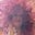 Amy DeAnda's avatar