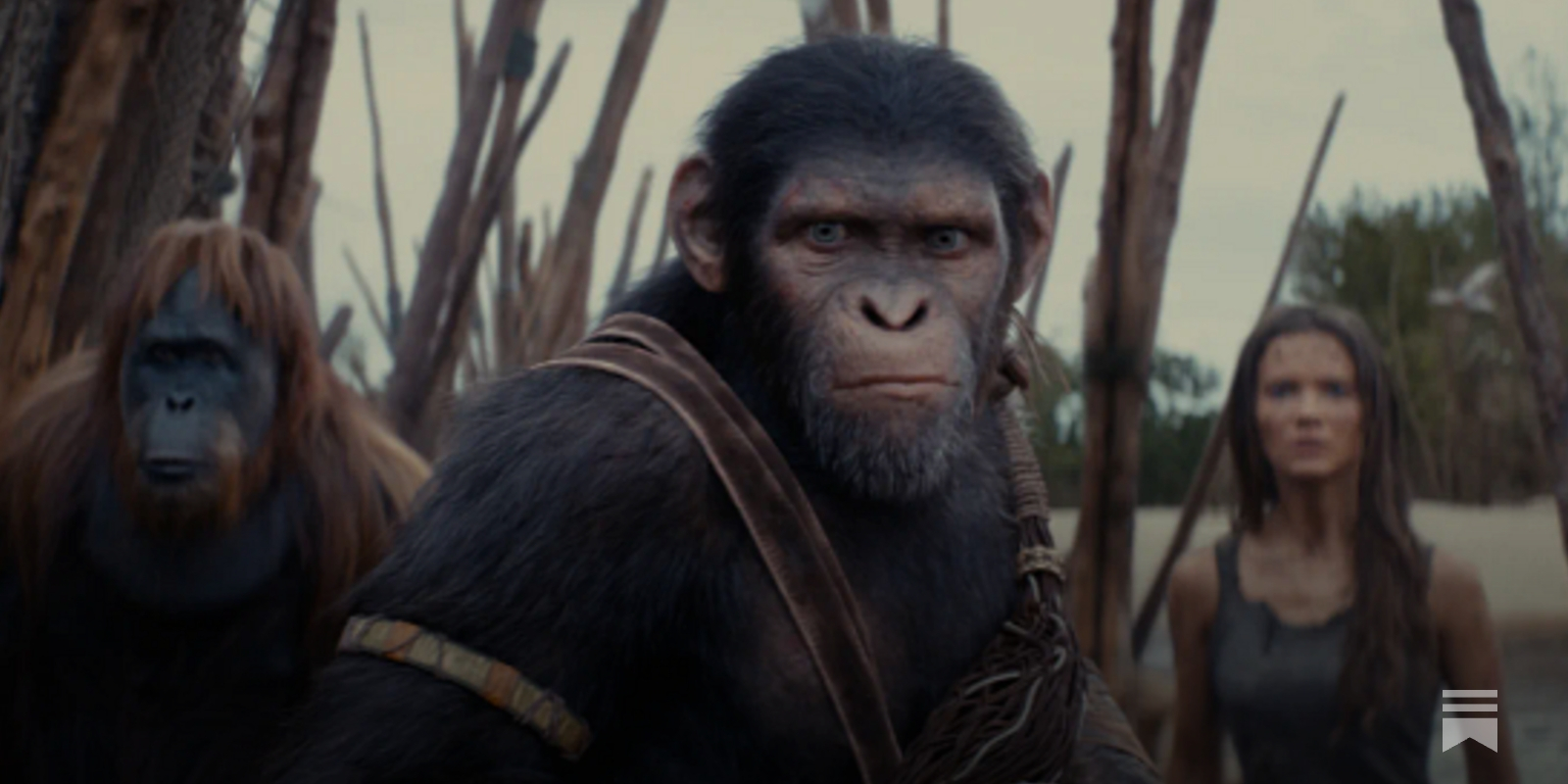 Exclusivo: entrevista com o diretor de \, image size:1600x800