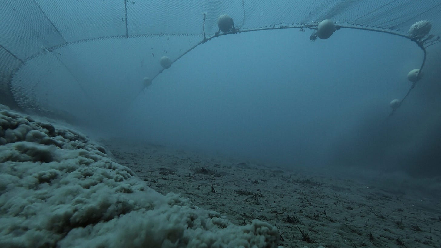 Never-before-seen footage of bottom trawling released from Ocean with David  Attenborough - Silverback Films