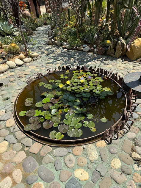 Six photos of small man-made ponds with plants and flowers growing in them.