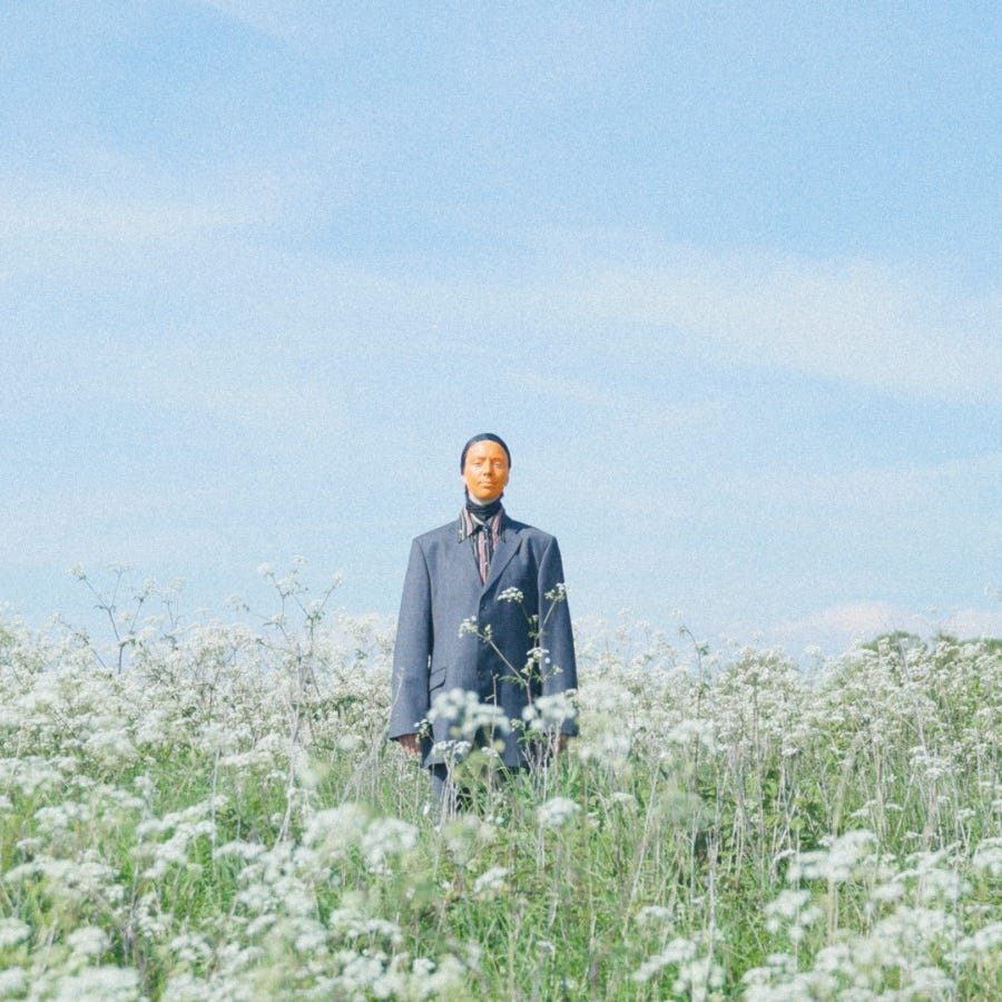 Animal Vegetable Mineral