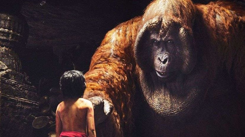 Feral child Mowgli encounters King Louie, a Gigantopithecus ape, in the live-version 2016 film 'The Jungle Book.' Disney Enterprises Feral child Mowgli encounters King Louie, a Gigantopithecus ape, in the live-version 2016 film 'The Jungle Book.' Disney Enterprises