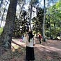 Dini Herliani's avatar