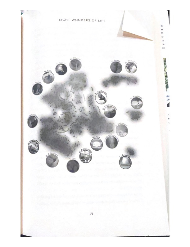 a visual map of different emotions clustered together on white paper