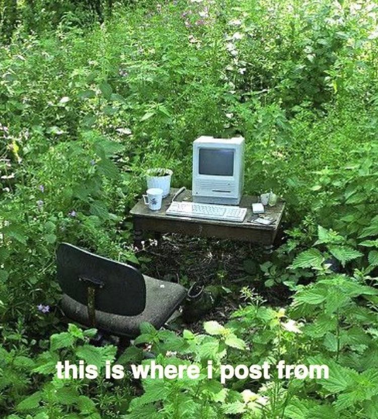 Shtreetwear on X: "https://t.co/8ElQQH4TbW" / X