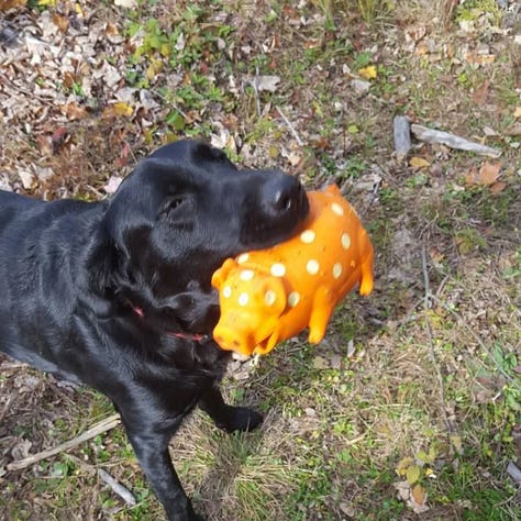 age catches up with murphy