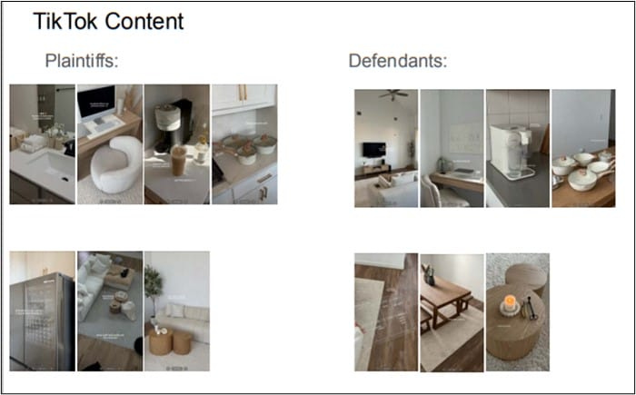 Don't Steal My Aesthetic”: First-of-its-kind Influencer Lawsuit | Munck  Wilson Mandala