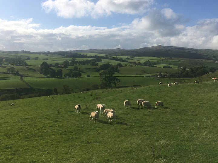 views of malham cove and malham